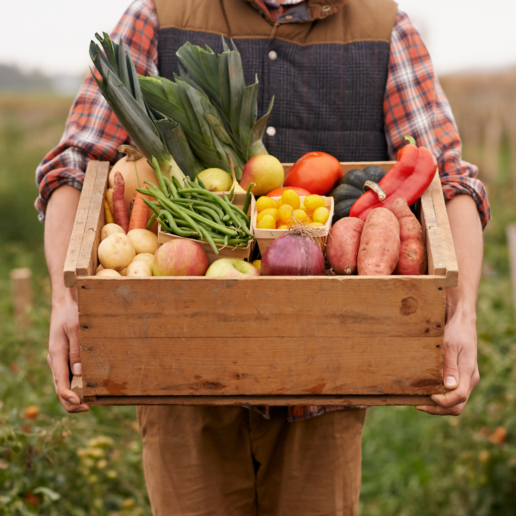 Le 5 Domande Più Frequenti delle Aziende Ortofrutticole sulla Conservazione (e le Risposte Firmate Imballaggi360)