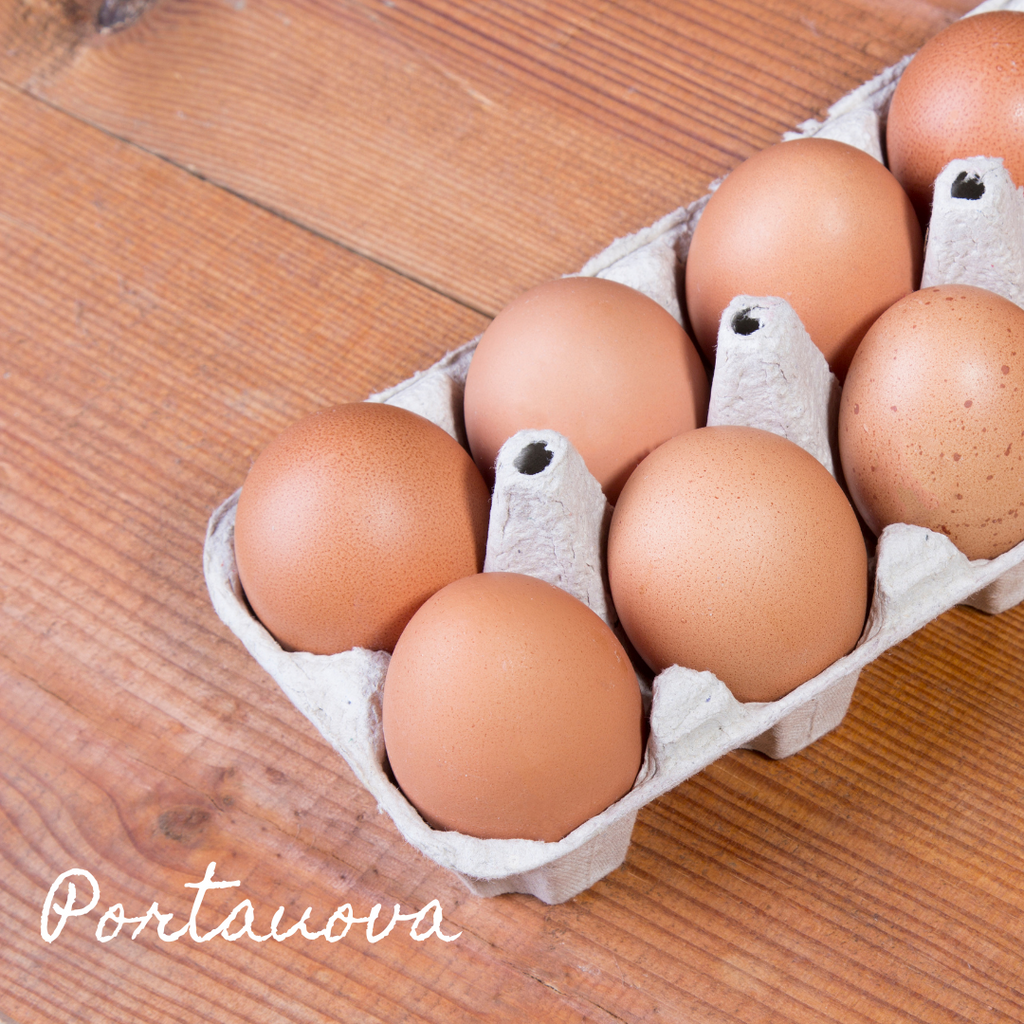 Portauova scopri tutti i modelli disponibili.