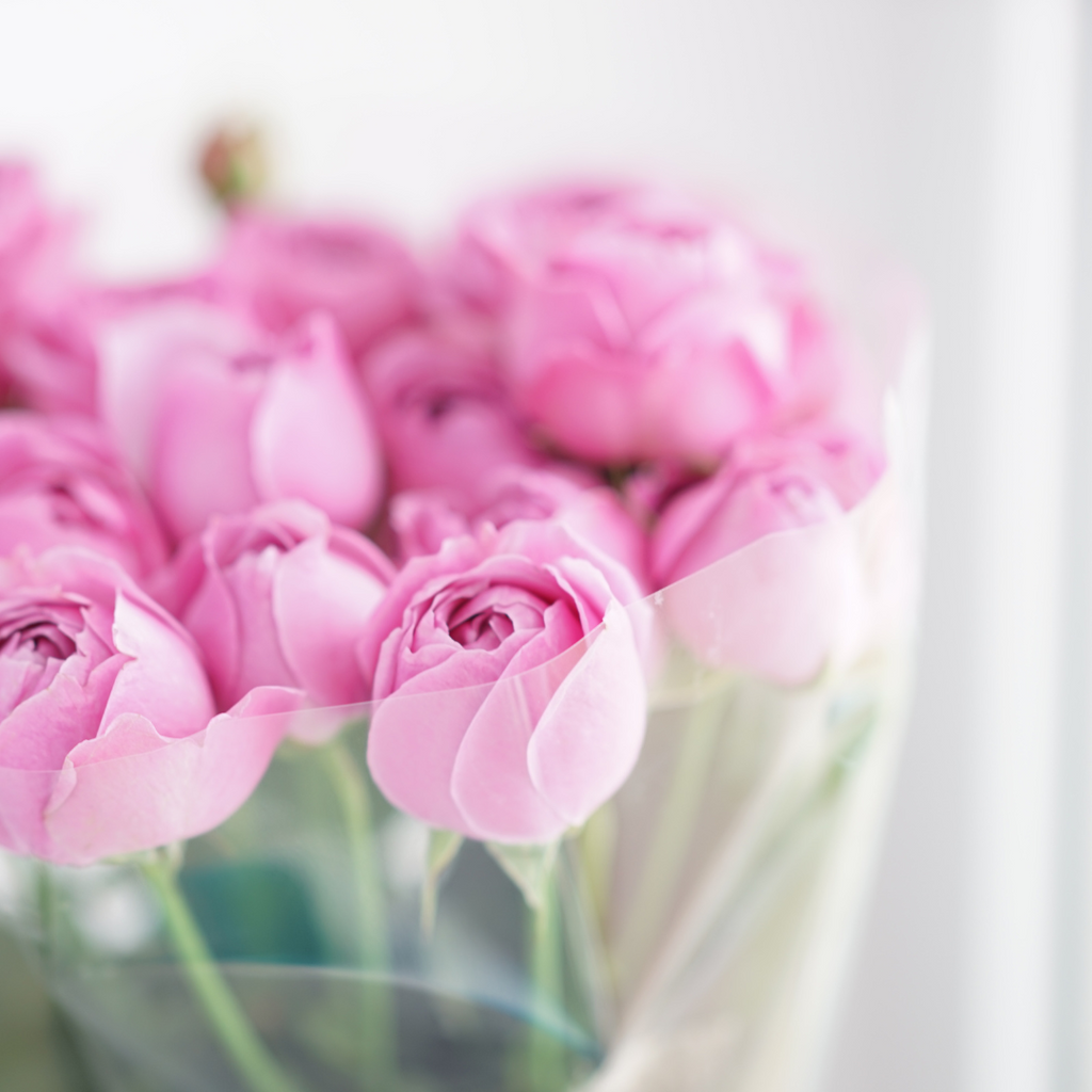 Tulipani nel cellophane