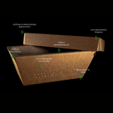 Vaschetta in cartone per gelato con sue specifiche tecniche riportate