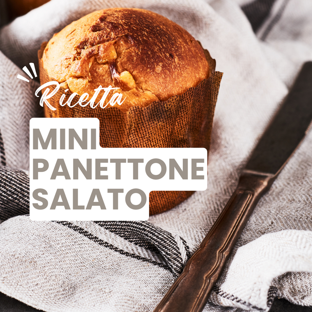 Mini Panettone salato: ricetta + stampi