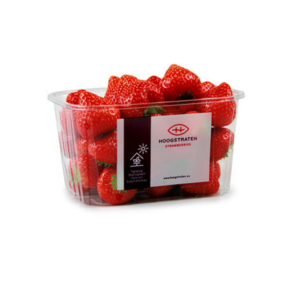 Ortofrutta