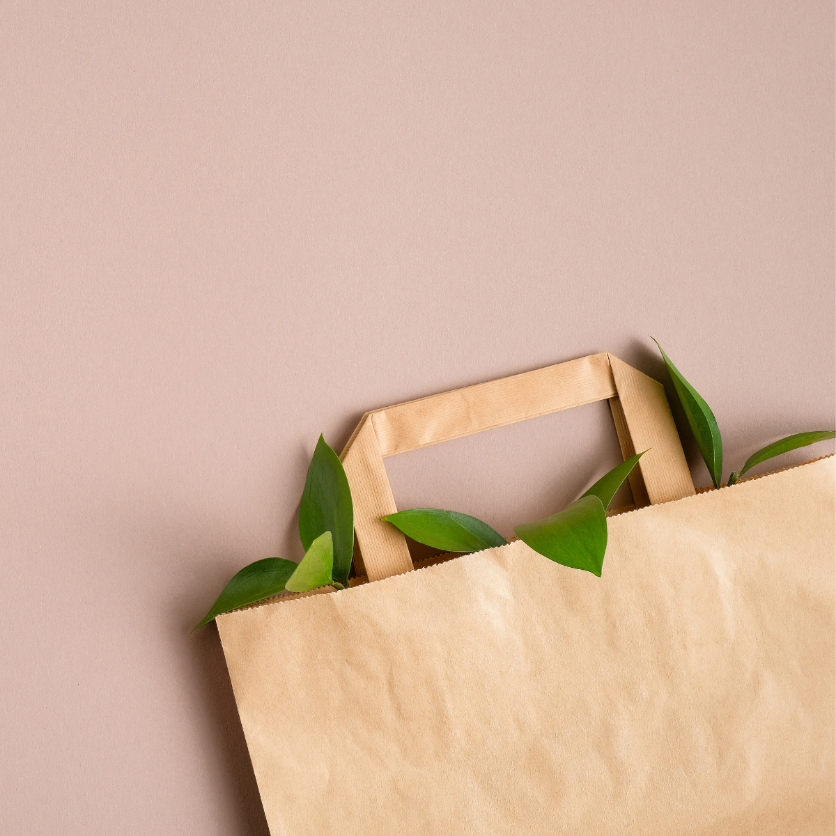 Dettaglio manico shopper avana da cui escono foglie 