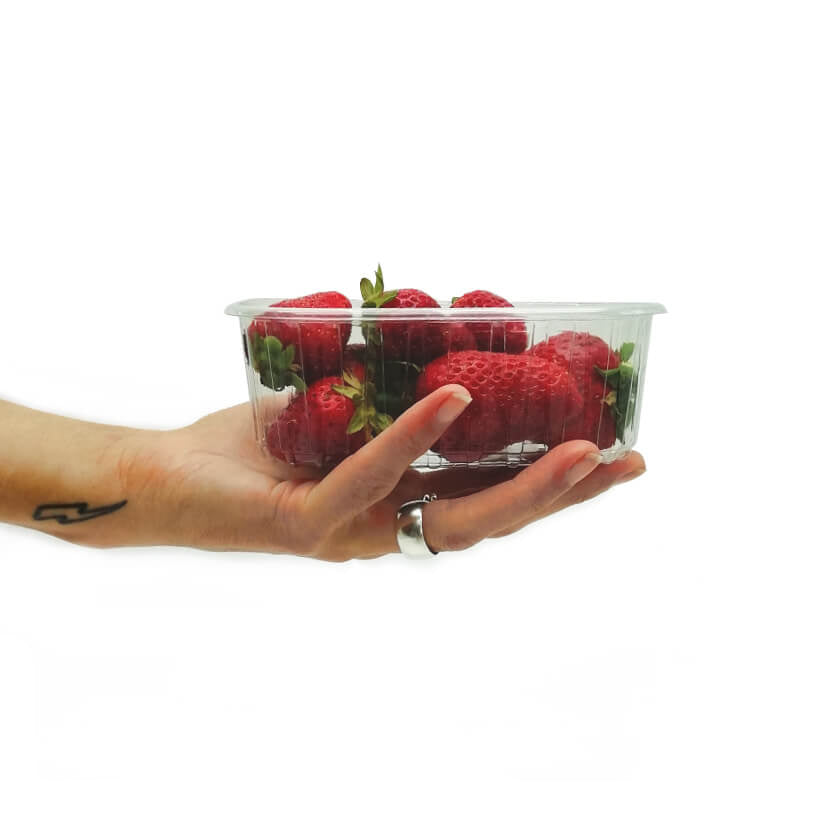 Mano che regge vaschetta di plastica piena di fragole 