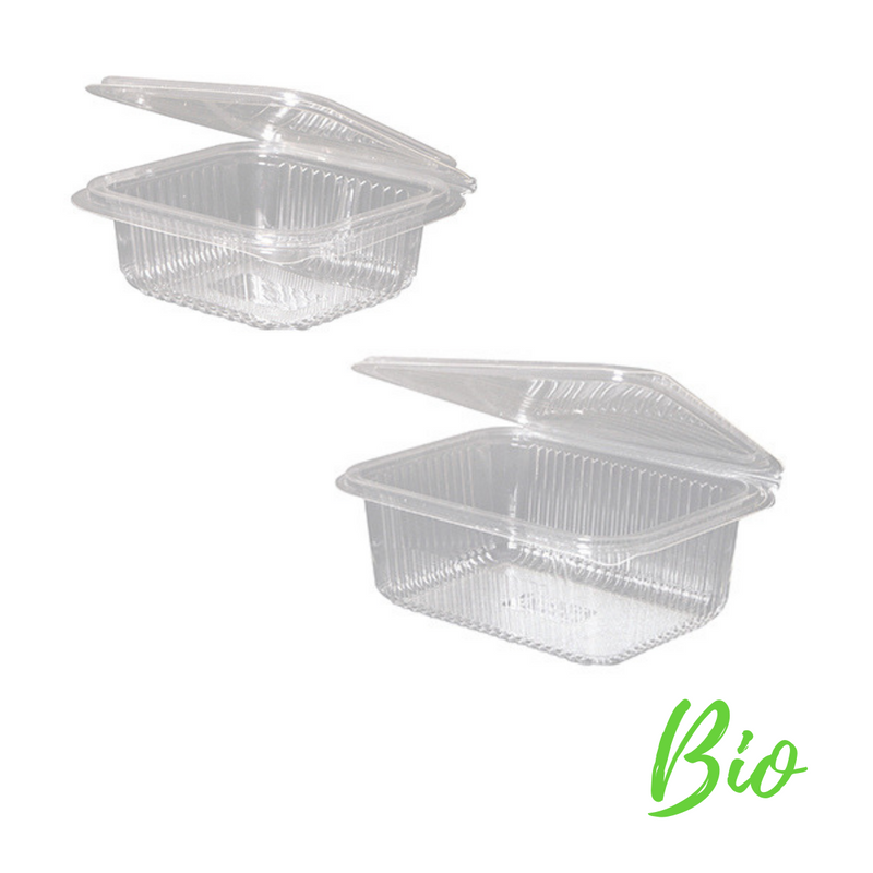 Due vaschette di plastica, diverse misure, con coperchio attaccato, bio, semiaperte e vuote