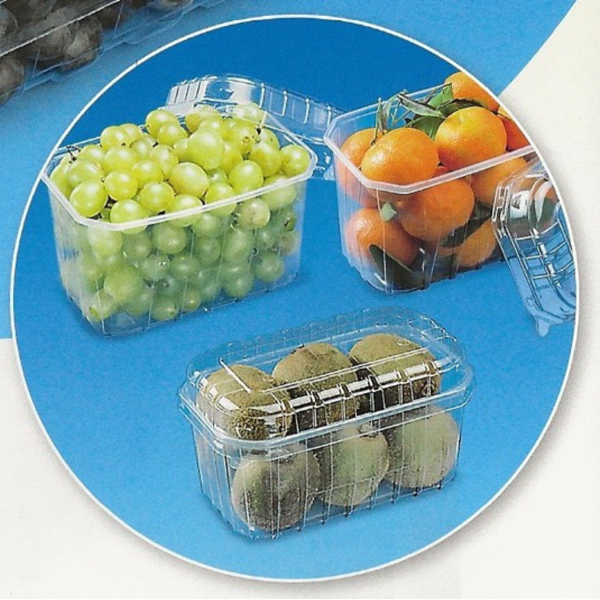 Vaschette di plastica con coperchio piene di uva, kiwi e mandarini