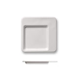 Piatti biodegradabili quadrati eleganti monouso in polpa di cellulosa, visti da due prospettive