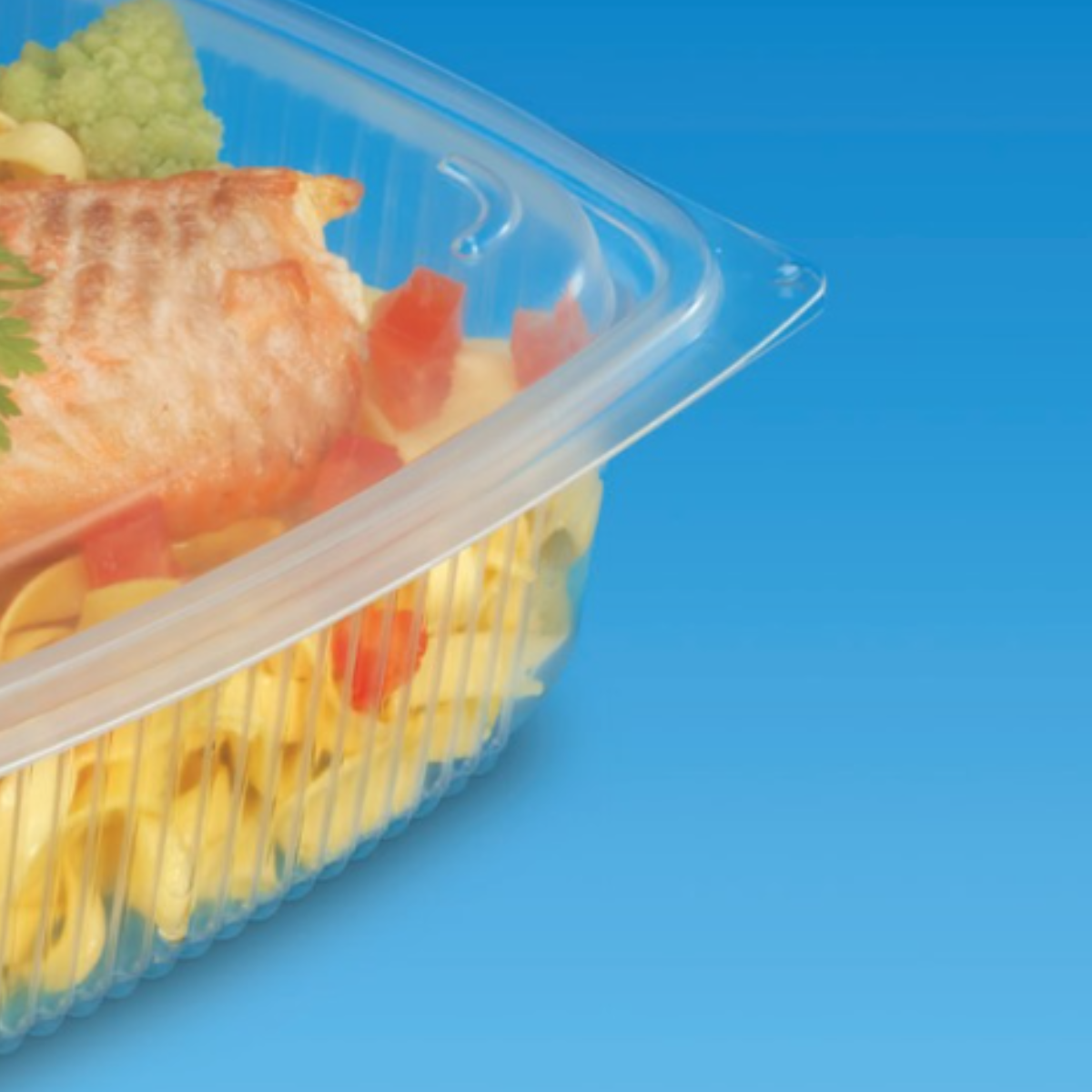 Vaschetta di plastica per cibo, trasparente, chiusa, con insalata di pasta all'interno. Dettaglio si sfondo blu