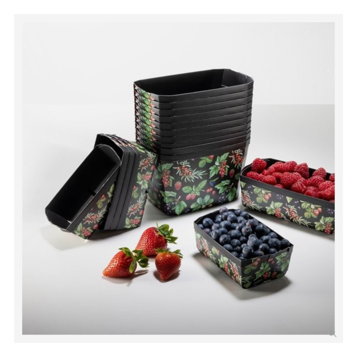 Cestini per frutta neri di plastica con fantasia di frutti del bosco 
