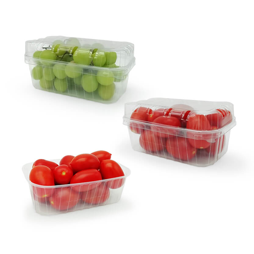 Vaschetta per frutta base e coperchio (cartone intero) € 0,099 Cad + Iva
