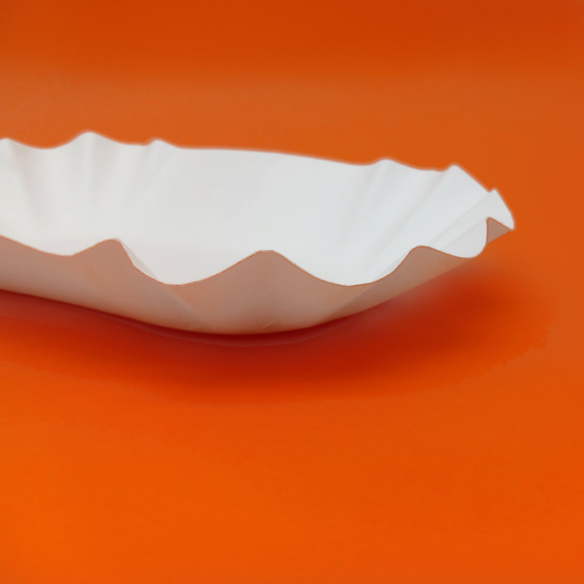 Vassoio di carta rettangolare per fritto  dettaglio 