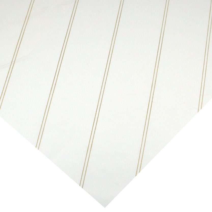 Dettaglio di un foglio con righe