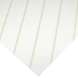 Dettaglio di un foglio con righe