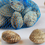Rete azzurra per vongole, piena 