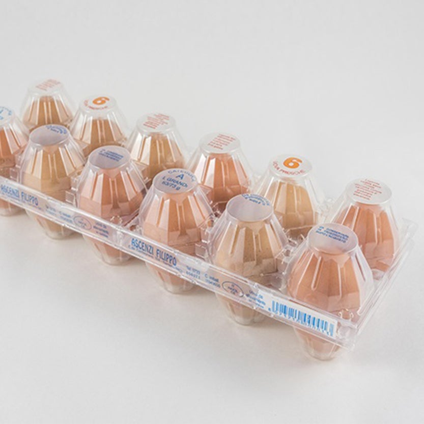 Confezione portauova in plastica chiusa con 12 uova