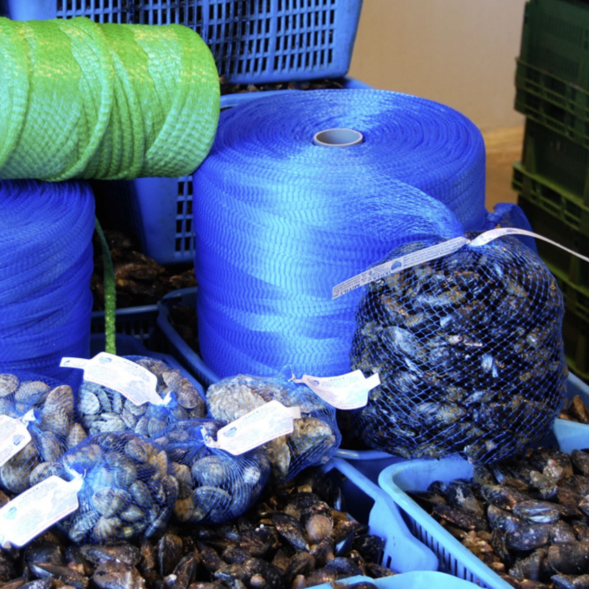 Rete azzurra per cozze con cozze vicino dentro cassette 