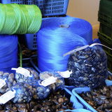 Rete azzurra per cozze con cozze vicino dentro cassette 