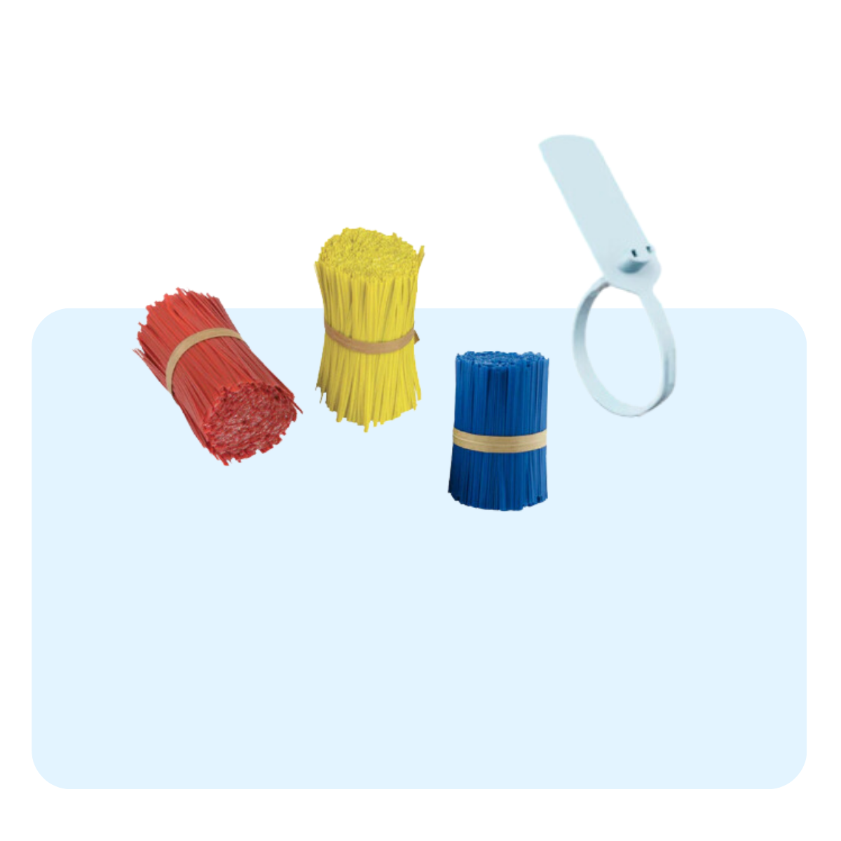 Banner con sfondo azzurro con: laccetti e sigilli