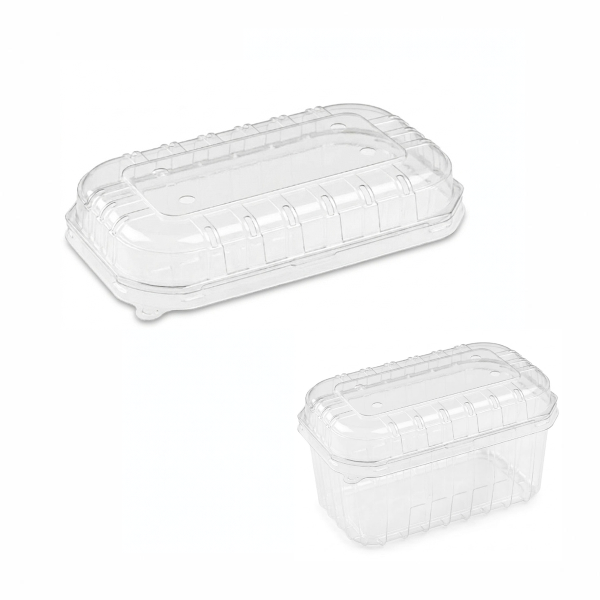 Coperchio di plastica per vaschetta di frutta, mostrato solo e sulla sua vaschetta