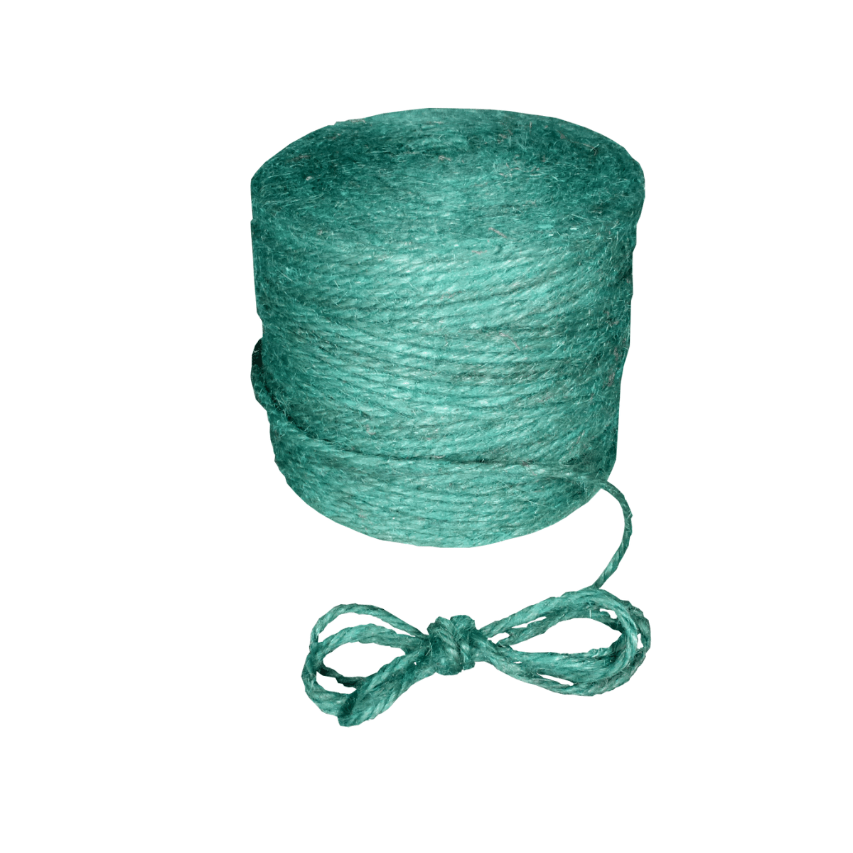 Bobina cordoncino azzurro