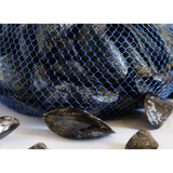 Rete blu per cozze, piena di cozze