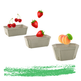 Vaschetta di cartone porta frutta , con frutta, tre diverse misure