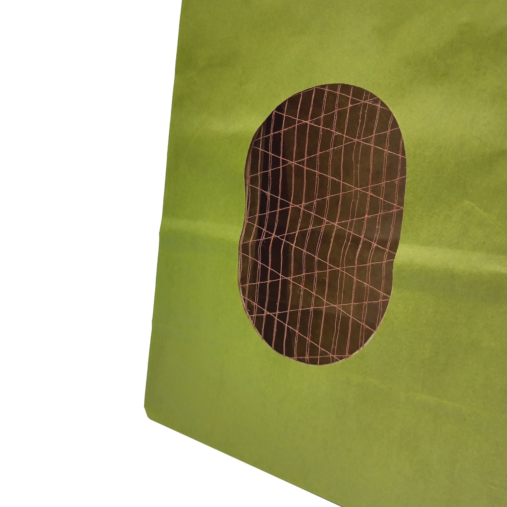 Dettaglio rete di una finestra di un sacchetto di carta verde 