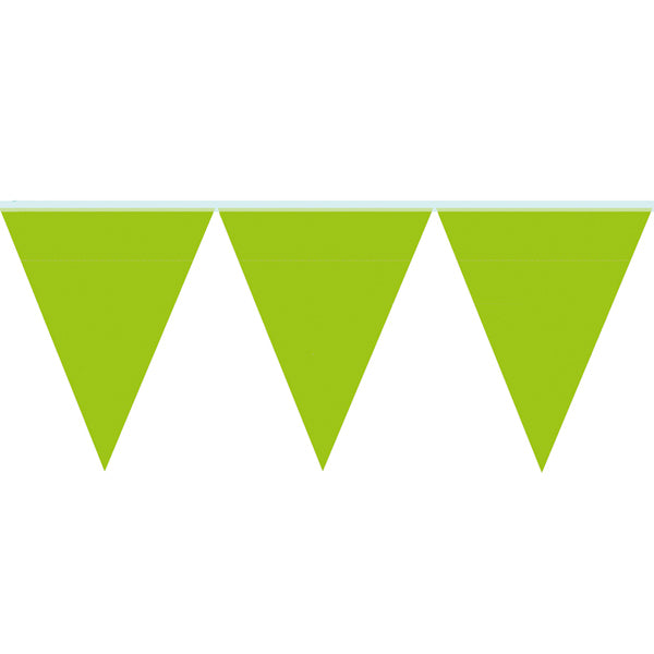 Festone triangolare verde 