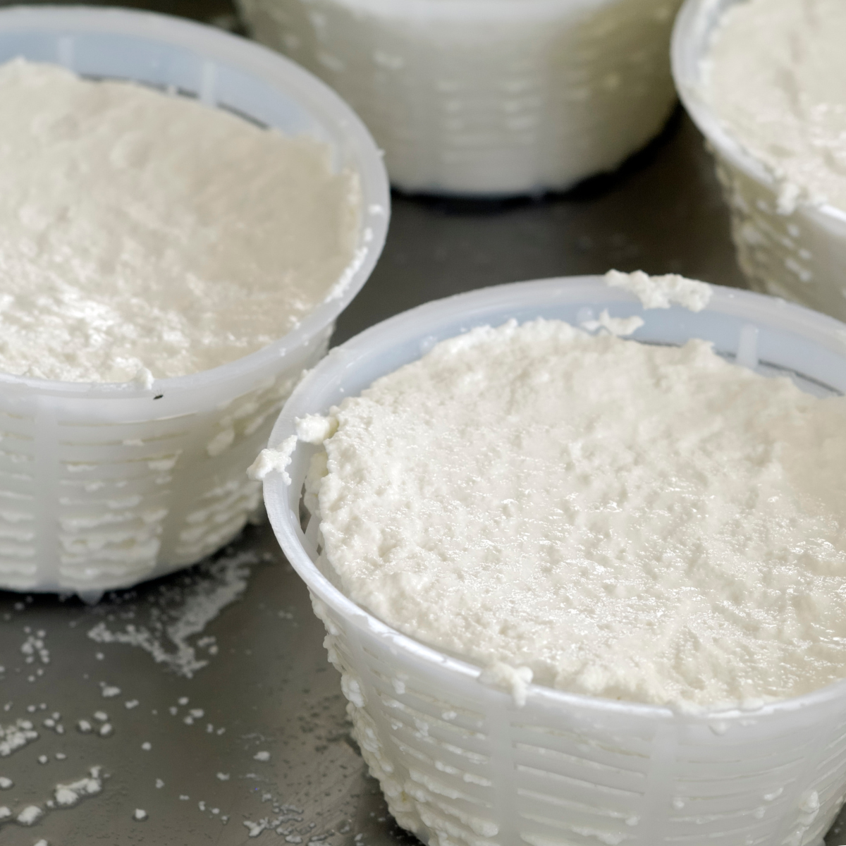 Vaschette per ricotta, piene, su un tavolo. Dettaglio