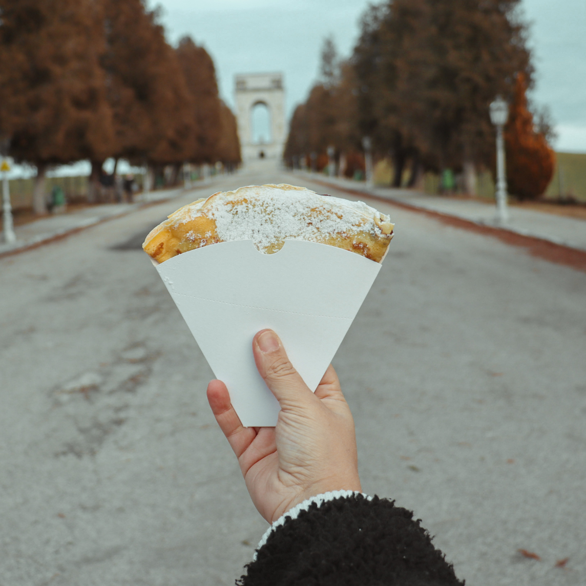 Mano che regge un porta crepes di carta pieno a ventaglio