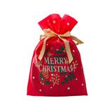 10pz Sacco portapanettone in tnt da € 1,99 Cad + Iva