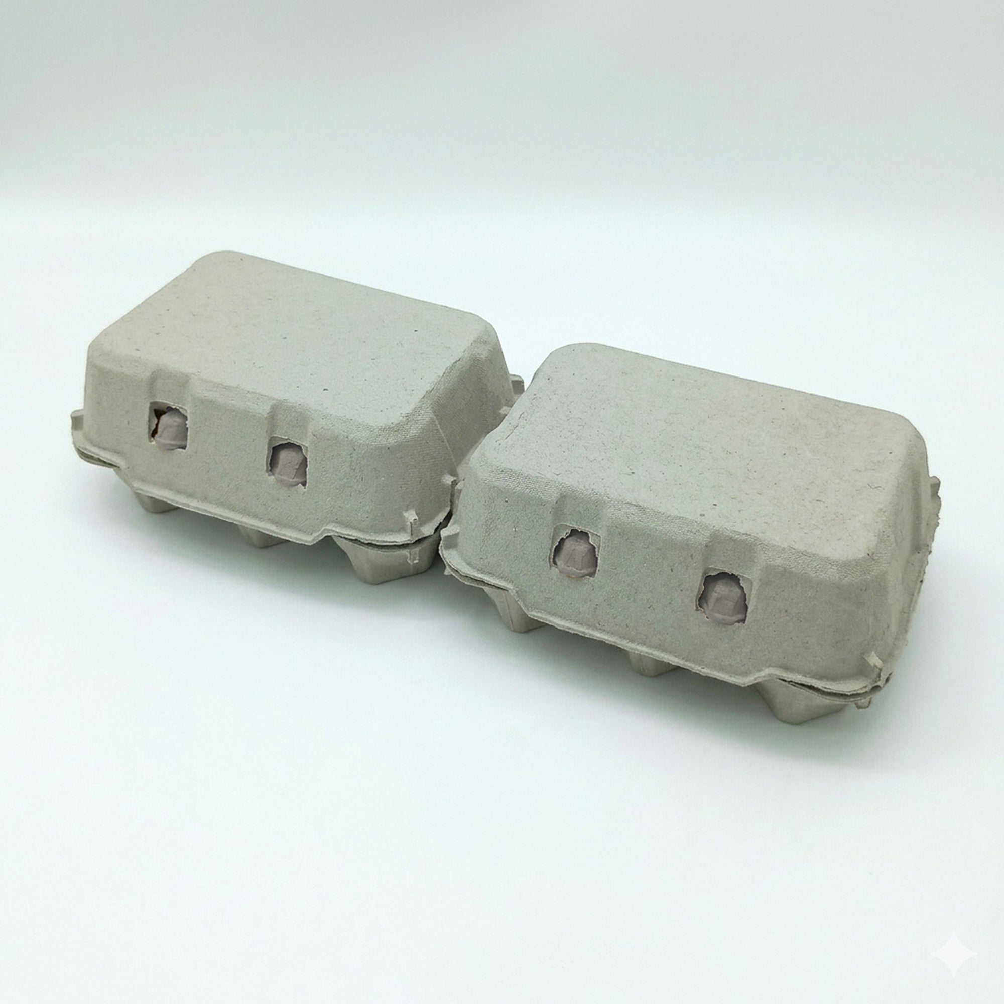 Contenitori portauova da € 0,16 Cad + Iva