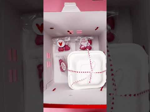 Video Scatola porta panettone modello casetta con manici