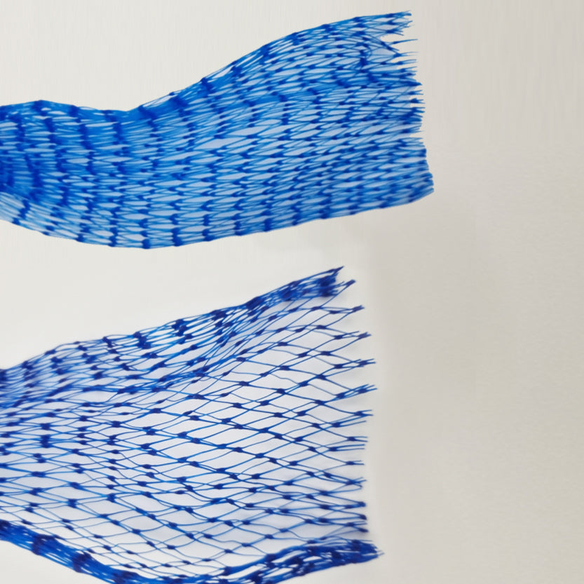 Dettaglio rete azzurra per cozze