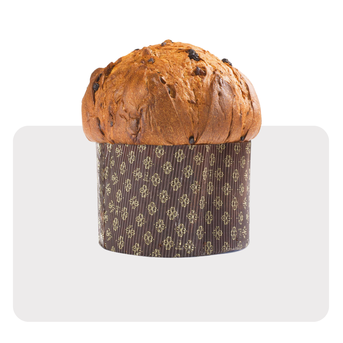 Panettone nel suo stampo 