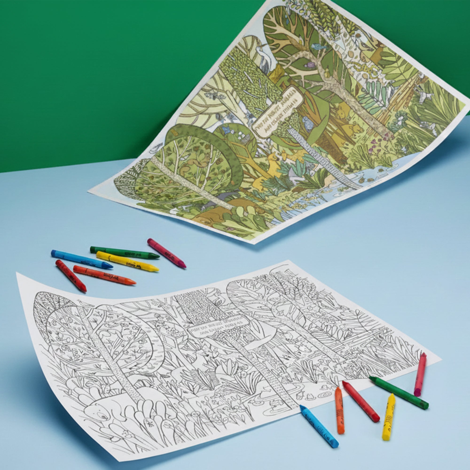 Tovaglietta americana colorabile tema foresta 