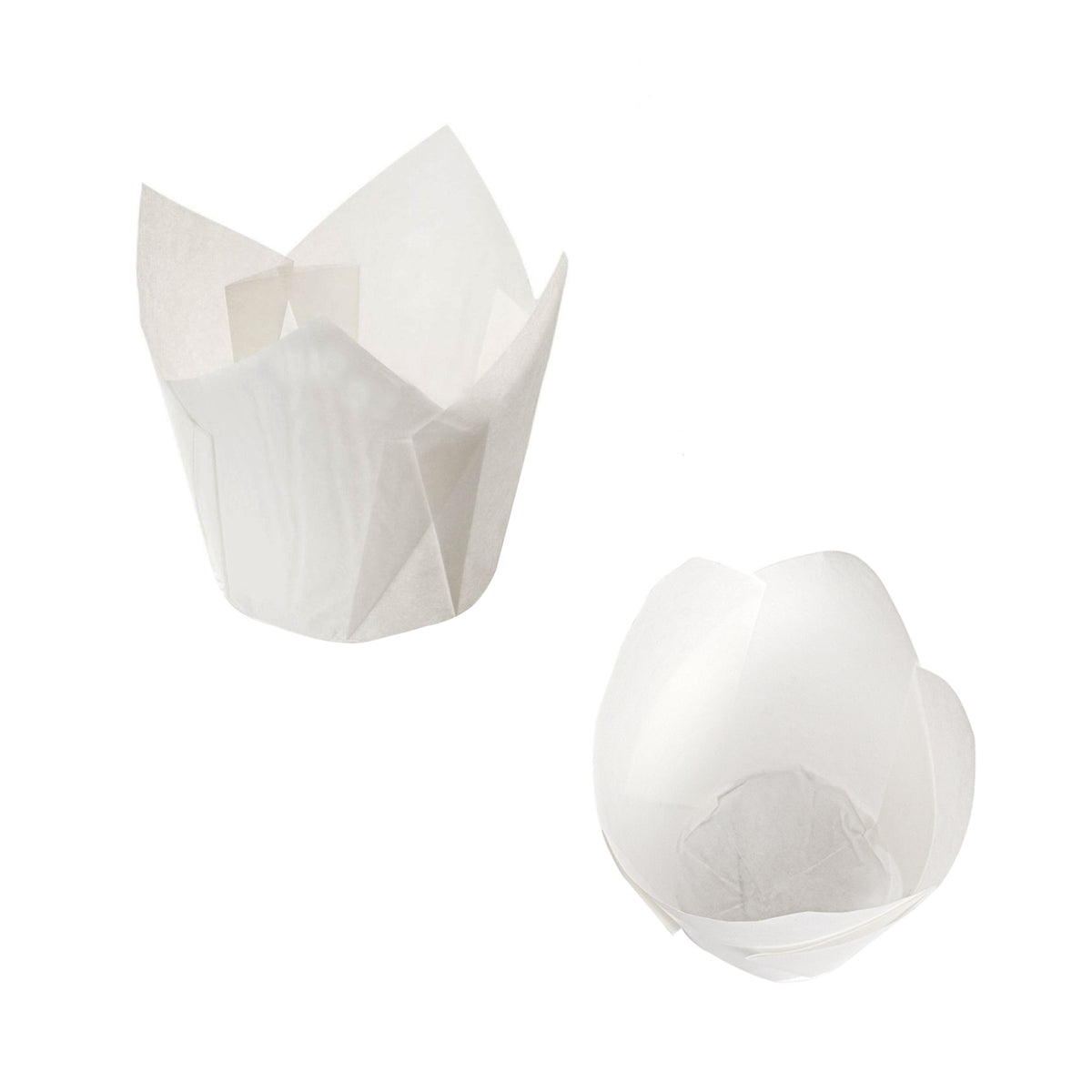 Pirottino tulipano bianco di lato e da sopra