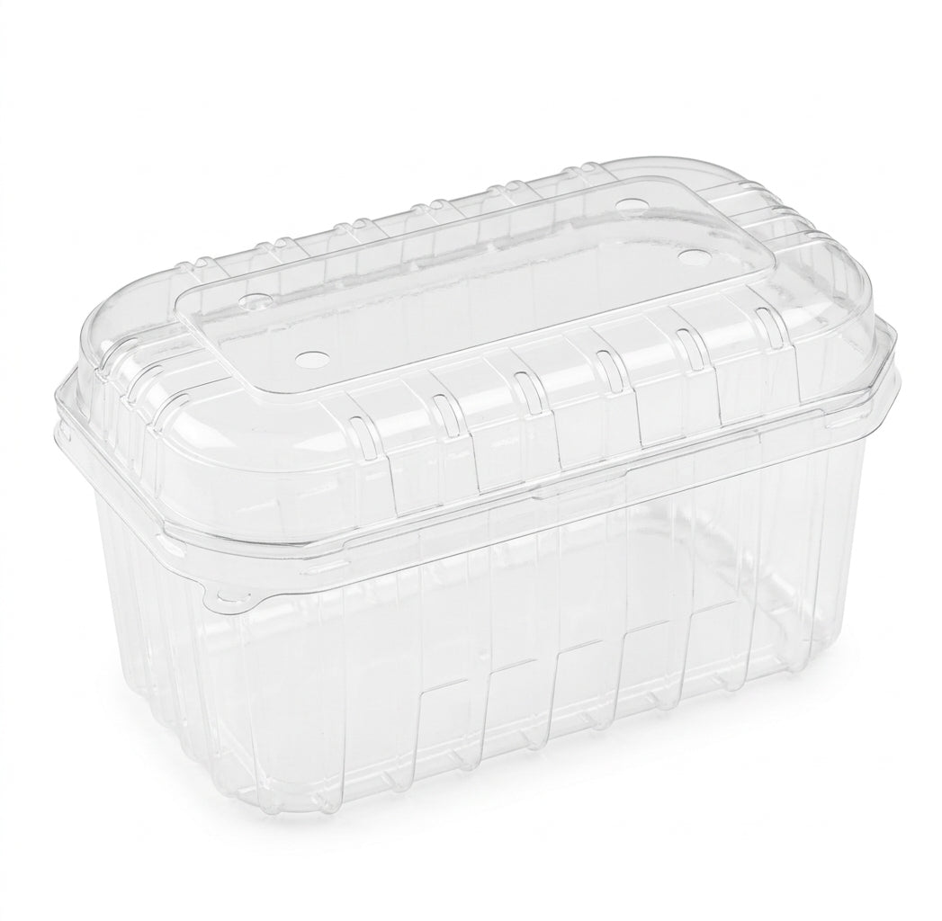 Vaschetta di plastica trasparente con coperchio, vuota