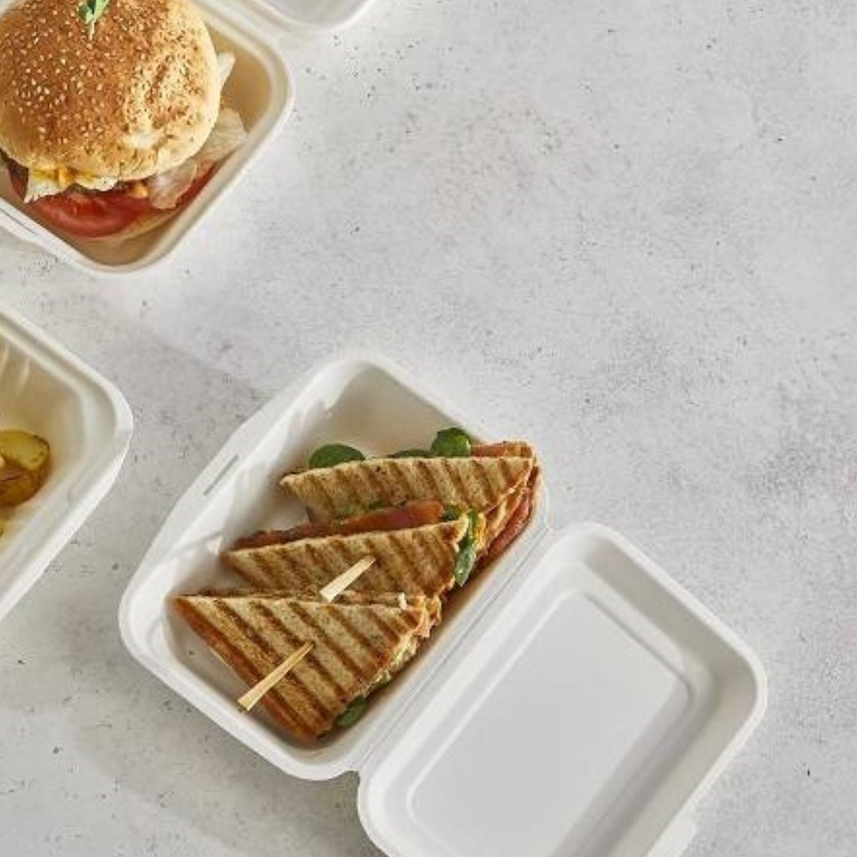 Vaschette in polpa di cellulosa, vari formati, aperte e con dentro cibo fast food 