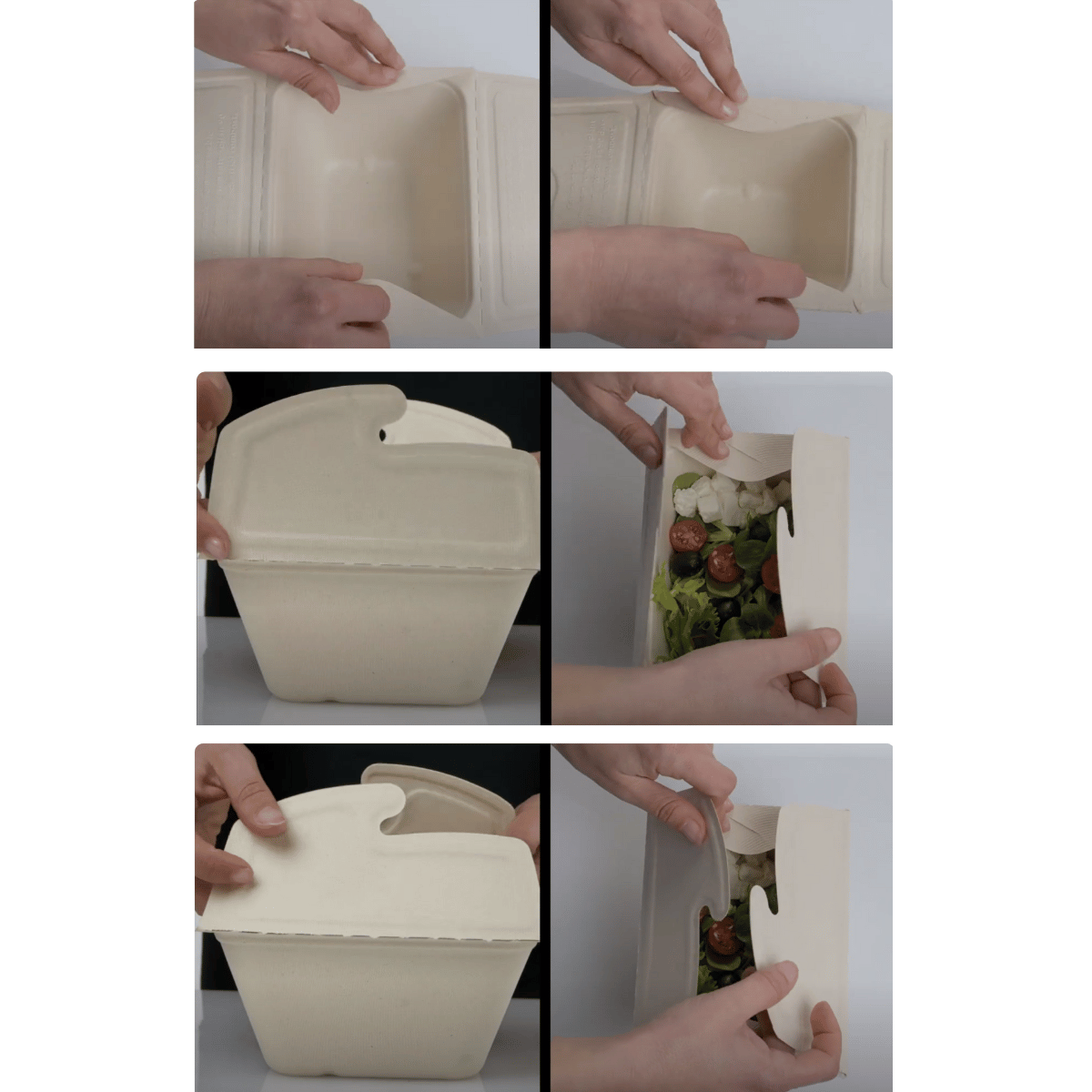 Vaschetta biodegradabile chiusura farfalla da € 0,30 Cad + Iva
