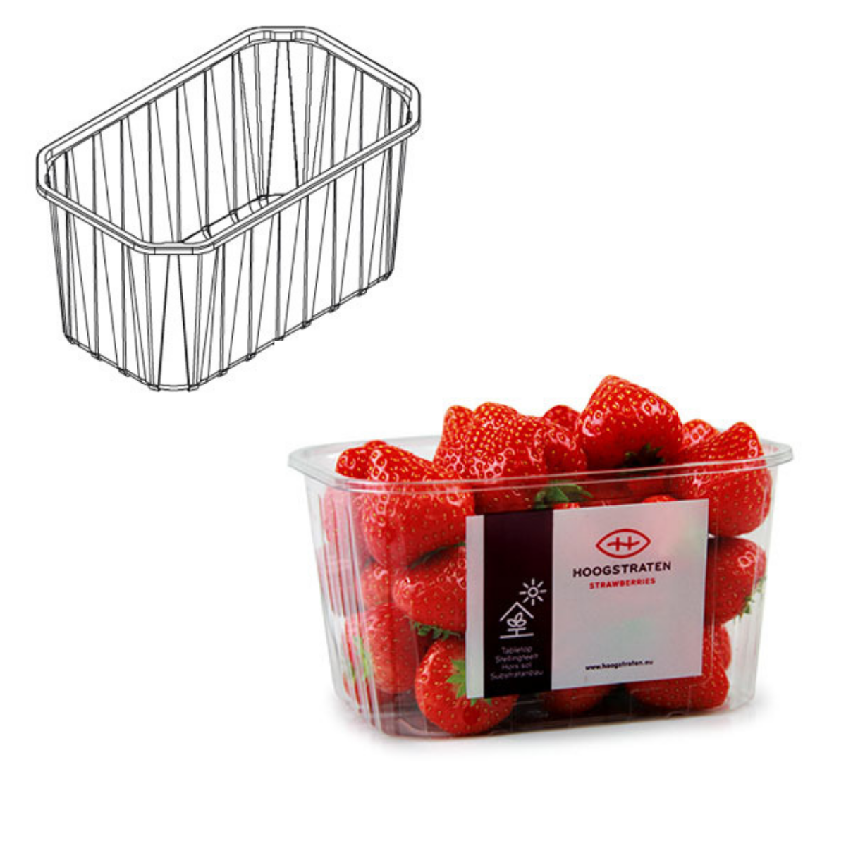 Vaschetta di plastica trasparente piena di fragole e suo disegno