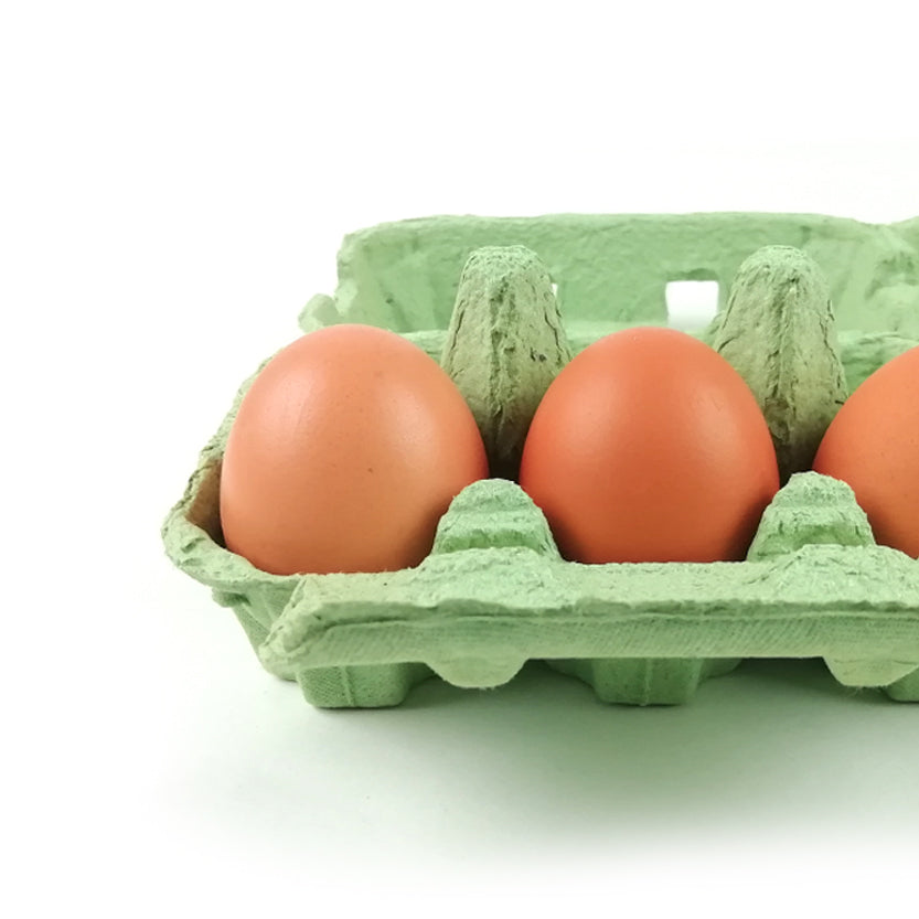 Dettaglio porta uova verde con tre uova