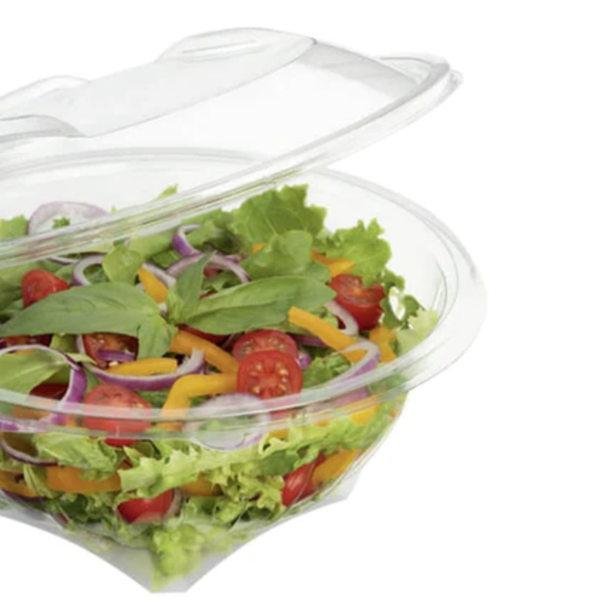 Vaschetta di plastica con coperchio attaccato, piena di insalata 