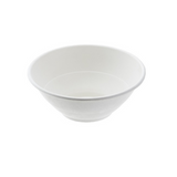 Ciotola bianca monouso