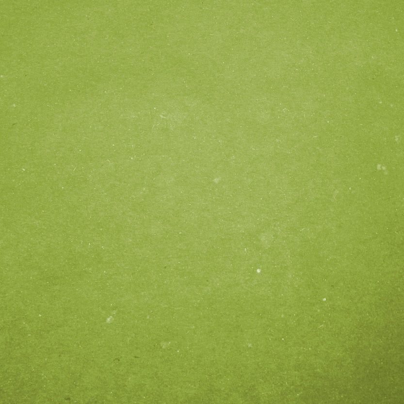 Dettaglio carta paglia color verde 