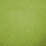 Dettaglio carta paglia color verde 