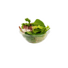 Ciotola con insalata, di palstica