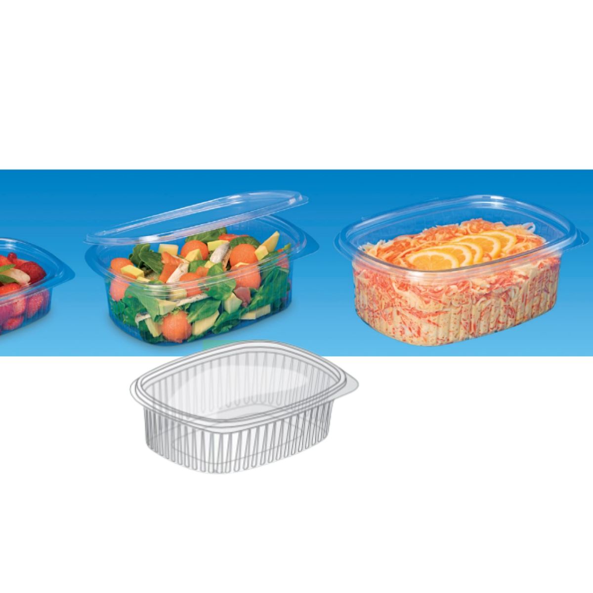 Vaschetta trasparente di plastica, con coperchio, mostrata piena di cibo e disegno tecnico 