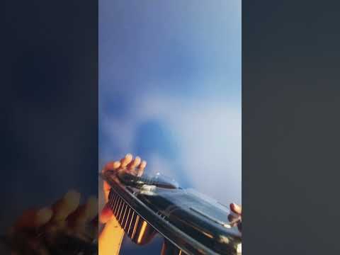 Video su: contenitore per asporto con scomparti 