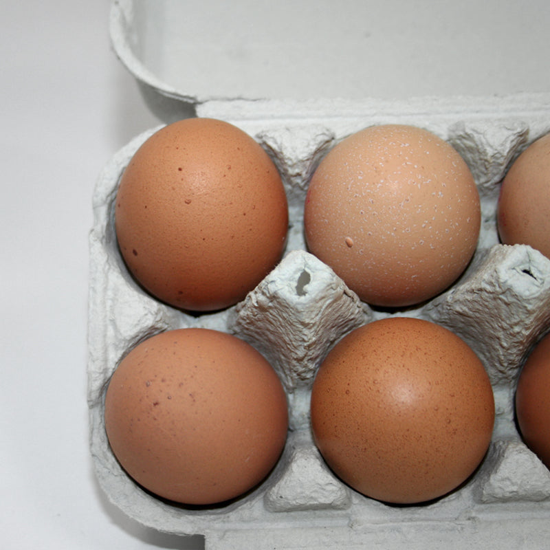 Dettaglio di portauova grigio aperto e si vedono le uova